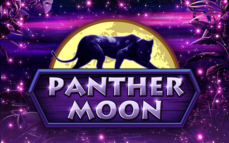 Panther moon